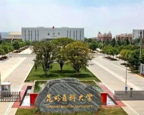 kunming medical university